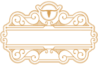 Texas Dallas Bail Bonds logo